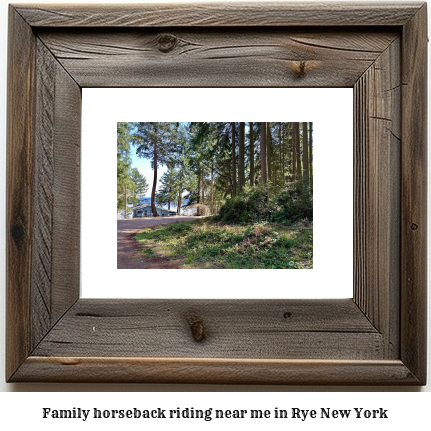 family horseback riding near me in Rye, New York